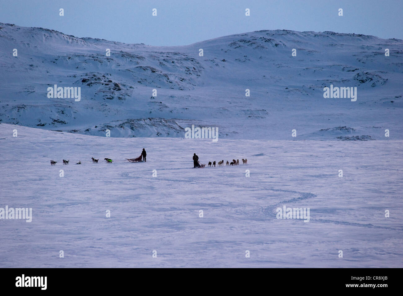 Two sled mushers with dog teams on Finnmarksvidda plateau during training for the Finnmarksløpet sled dog race, Alta, Finnmark Stock Photo