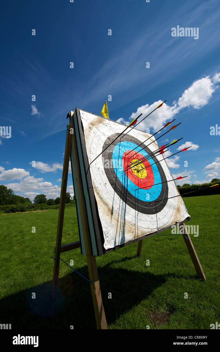 Going for Gold an Archery target with arrows set in a field and
