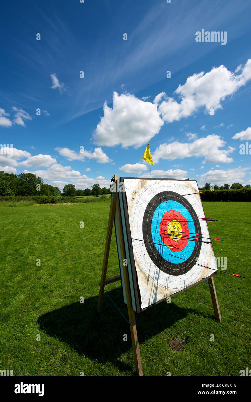 Going for Gold an Archery target with arrows set in a field and