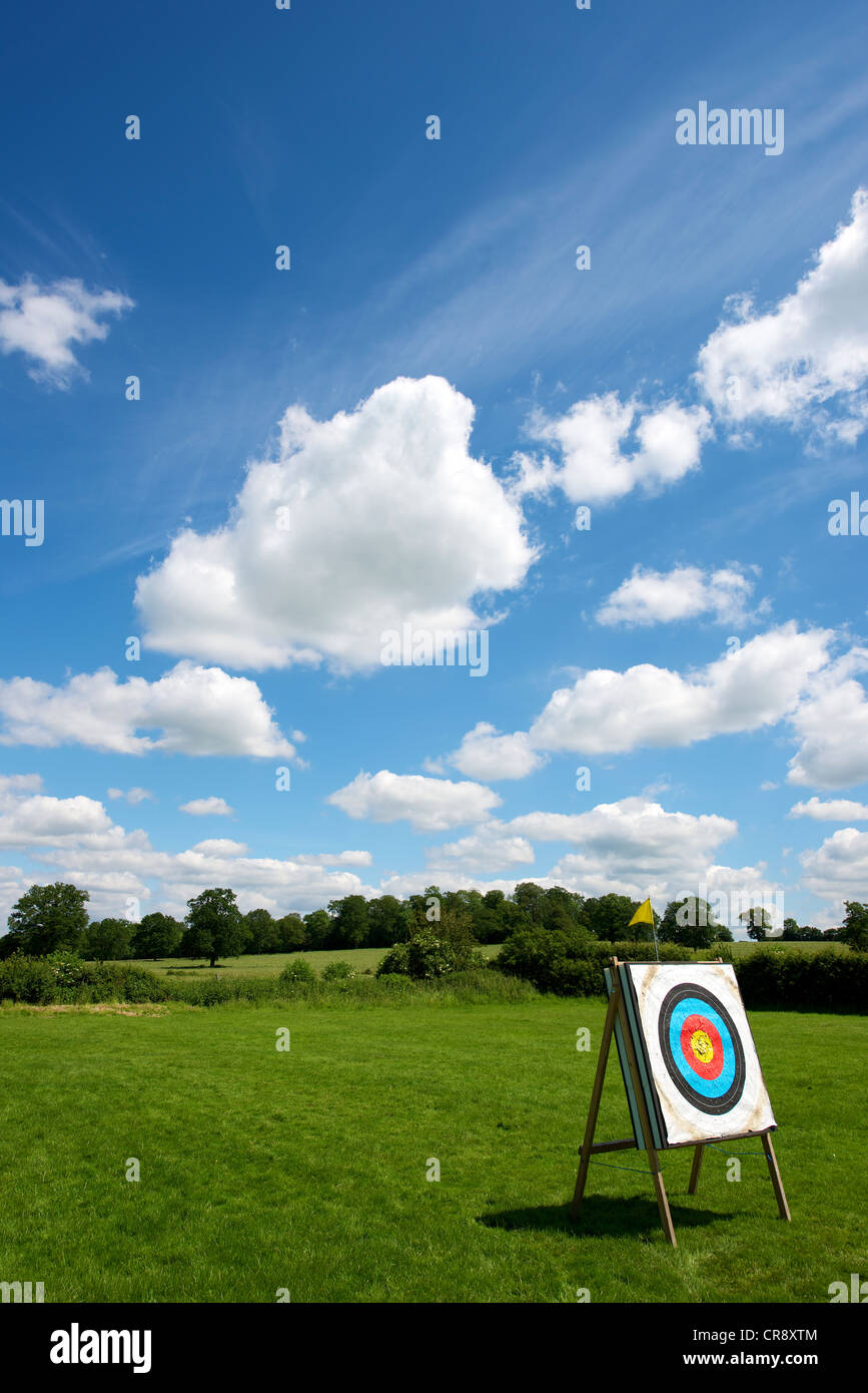 Going for Gold an Archery target set in a field and against a blue