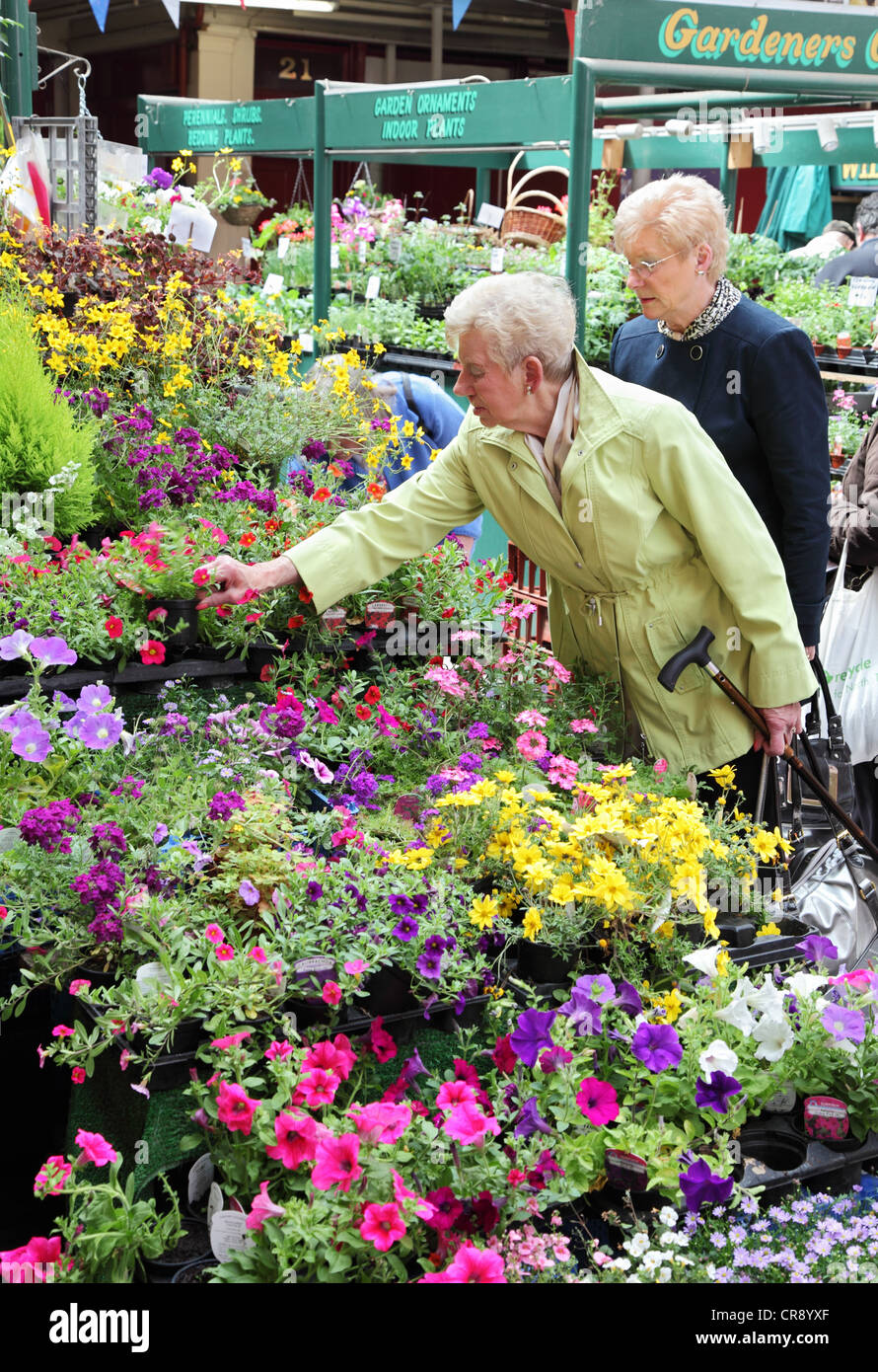 Senior women buying flowers Grainger Market, Newcastle upon Tyne, north east England UK Stock Photo