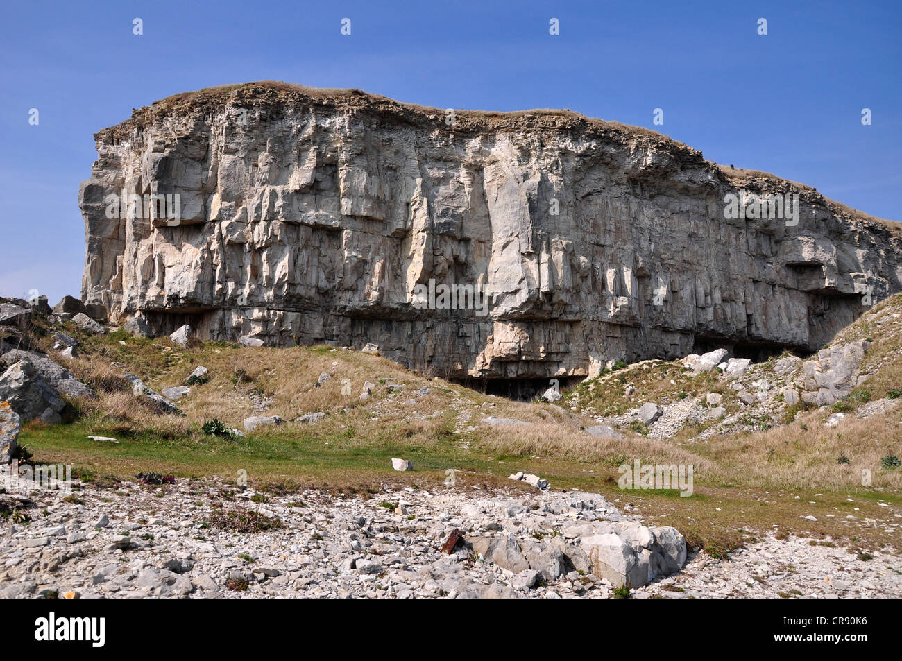 Cliffs at Winspit on the east Dorset coast UK Stock Photo