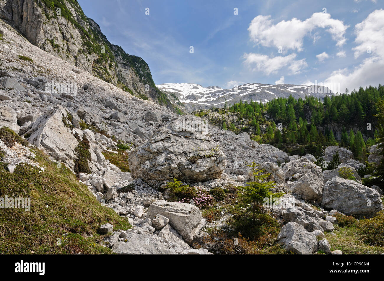 Mountain landscape near Krn Lake, Triglav National Park, Slovenia, Europe Stock Photo