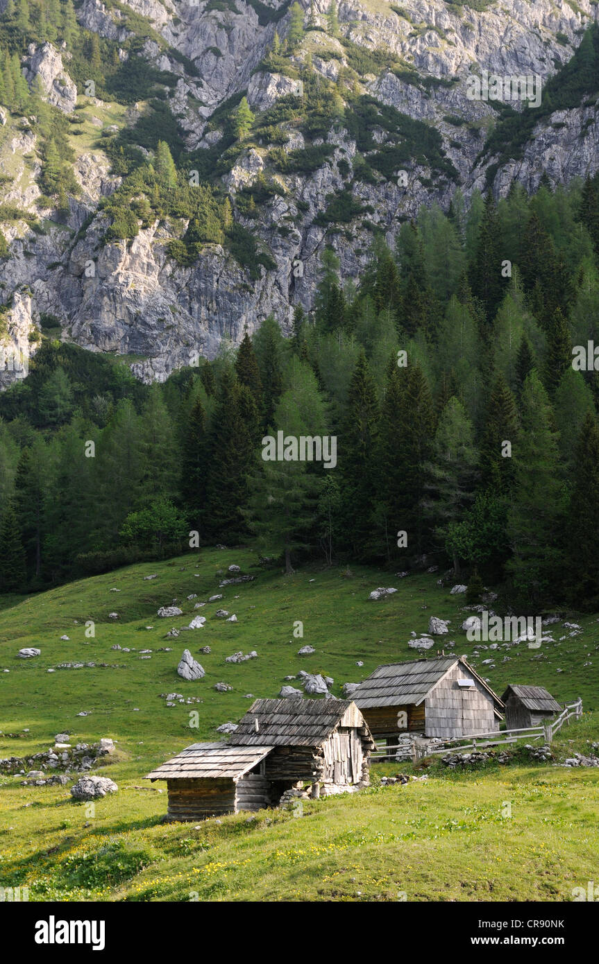 Huts on the alpine pastures of the Pokljuka Plateau, Triglav National Park, Slovenia, Europe Stock Photo