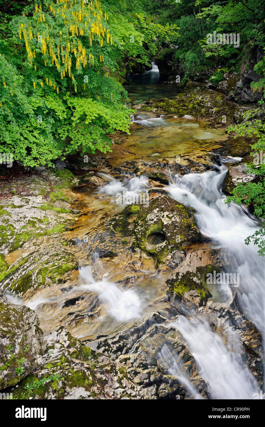 Watercourse of the Radovna River, Vintgar Gorge, Slovenia, Europe Stock Photo