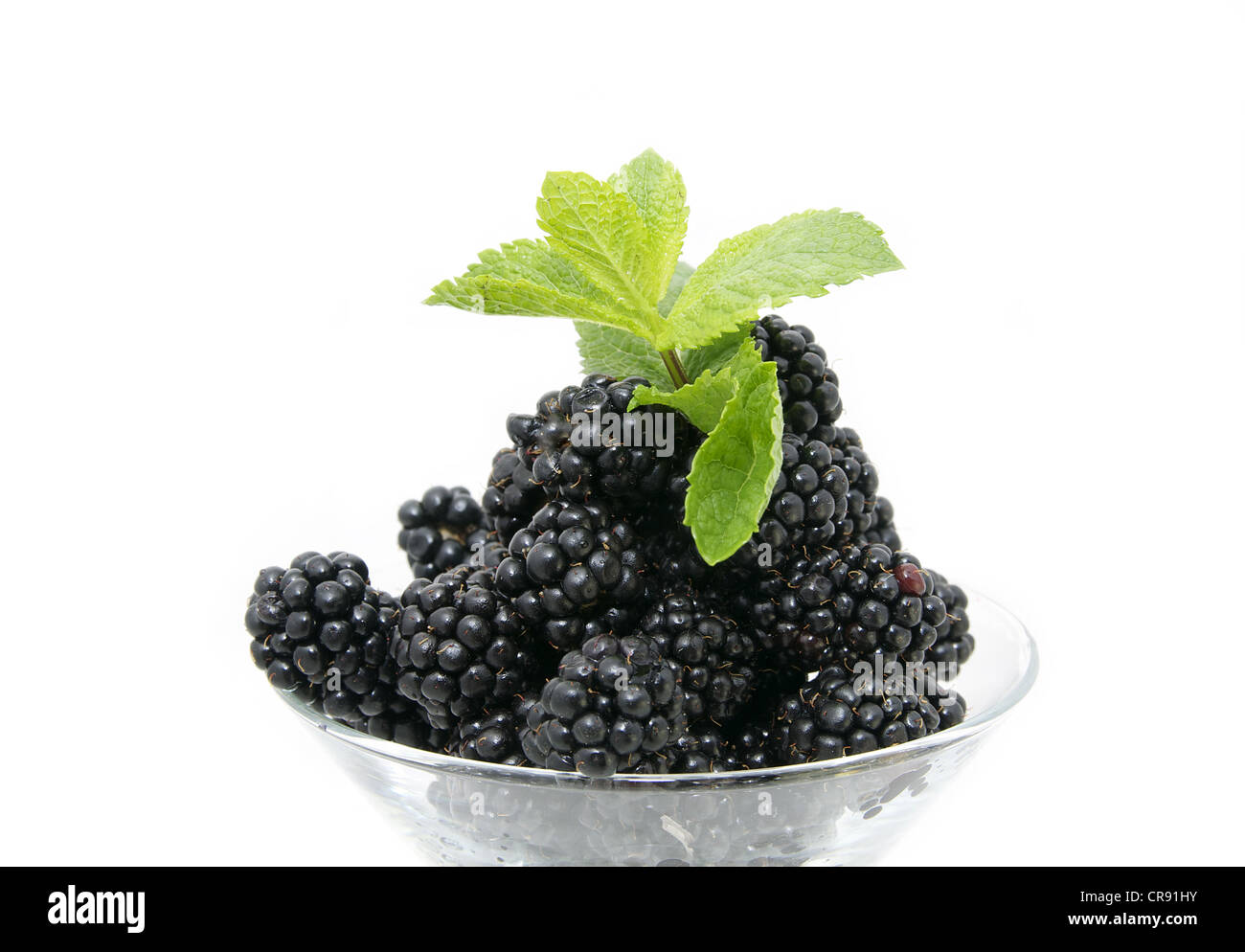blackberries on a white background in the restaurant Stock Photo Alamy