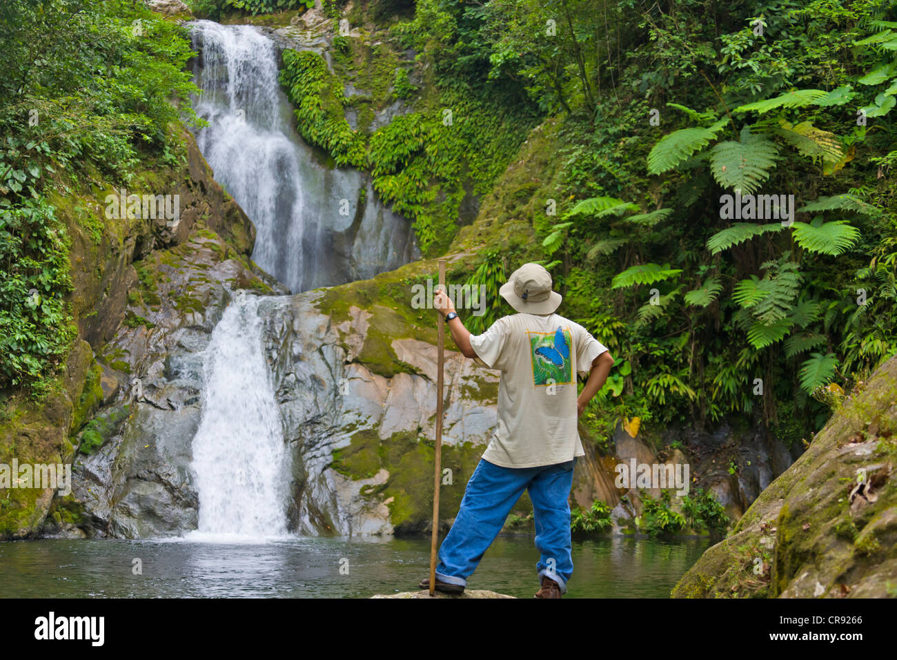 Tourist by the waterfall in the rain forest, Pico Bonito National Park