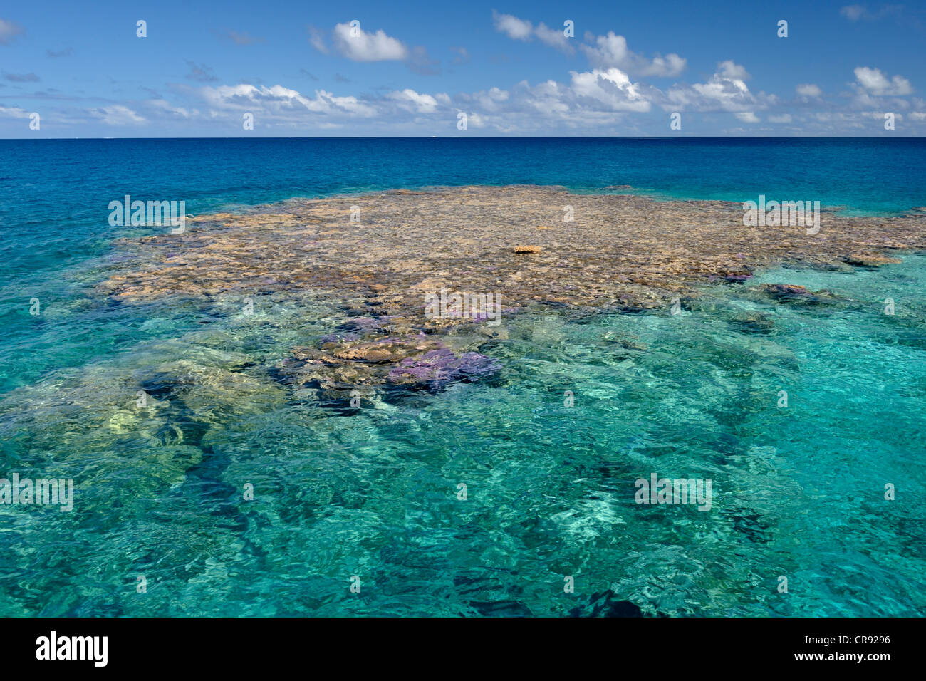 Coral heads, with the sun overhead, in Makemo atoll. Tuamotus, French Polynesia. Photographed with a polarising (polarizing) filter. Stock Photo