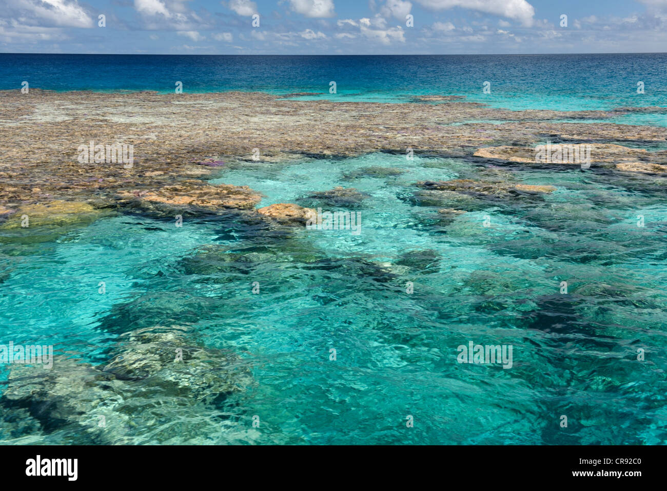 Coral heads, with the sun overhead, in Makemo atoll. Tuamotus, French Polynesia Stock Photo