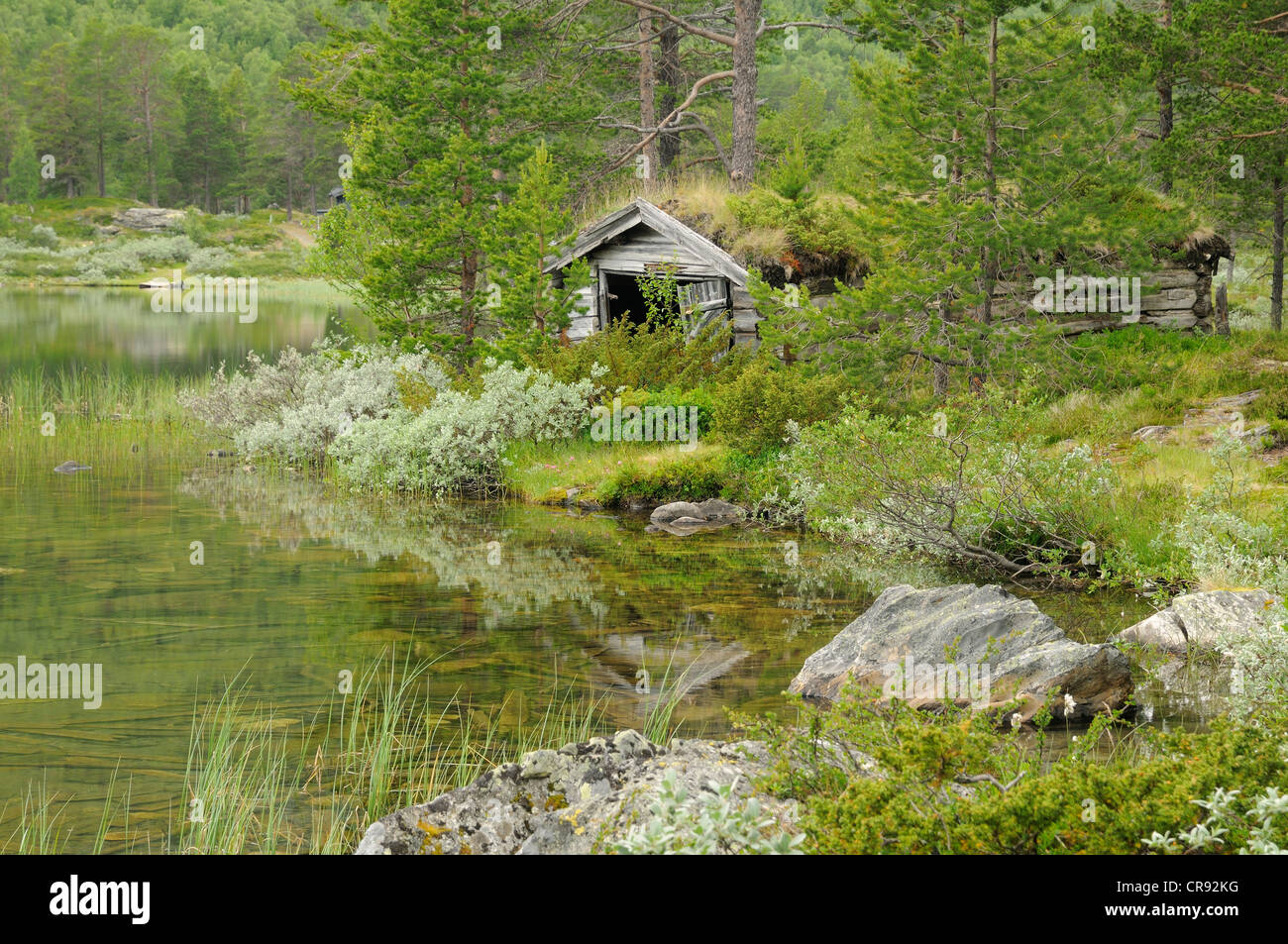Old cabin beside Lake Lemonsjøen, Norway, Scandinavia, Europe Stock Photo