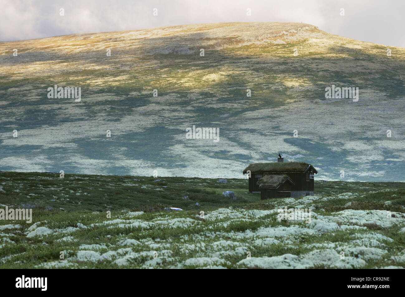 Hut in fjell landscape in the Rondane National Park, Norway, Scandinavia, Europe Stock Photo