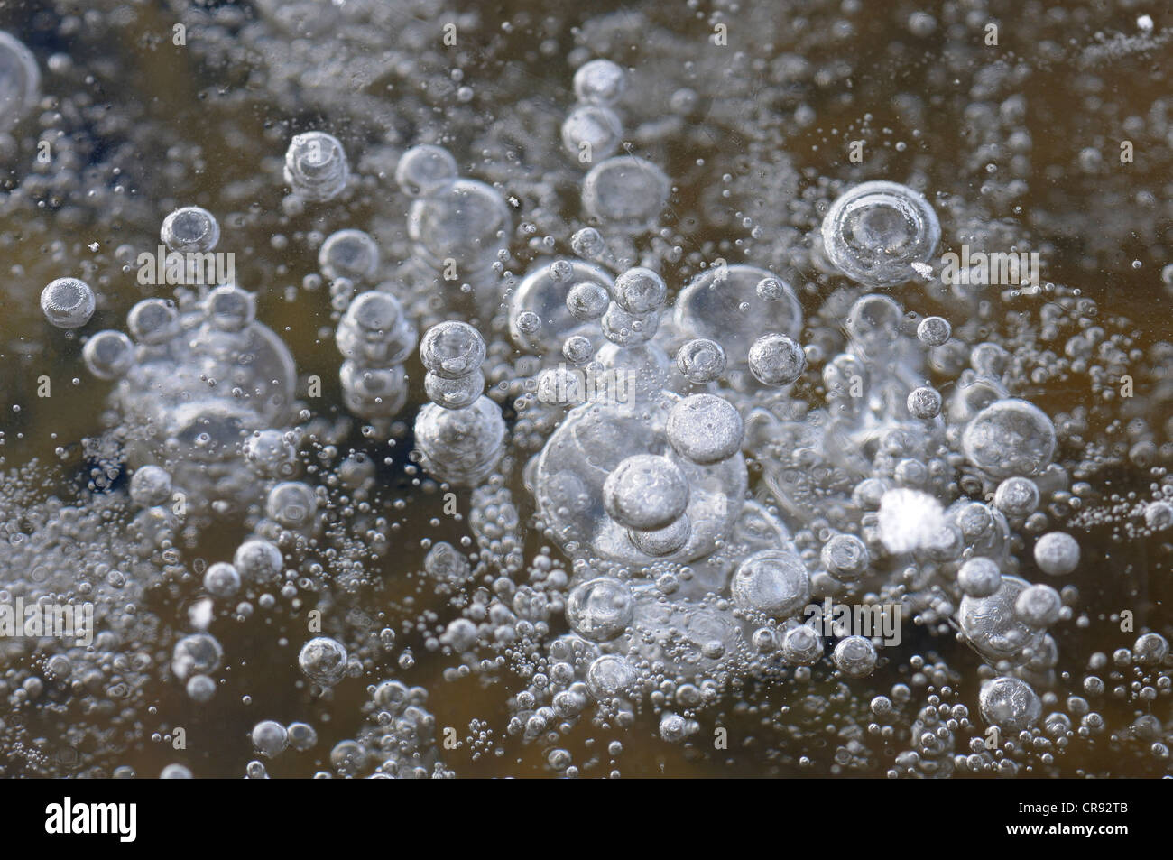 Air bubbles in ice Stock Photo Alamy