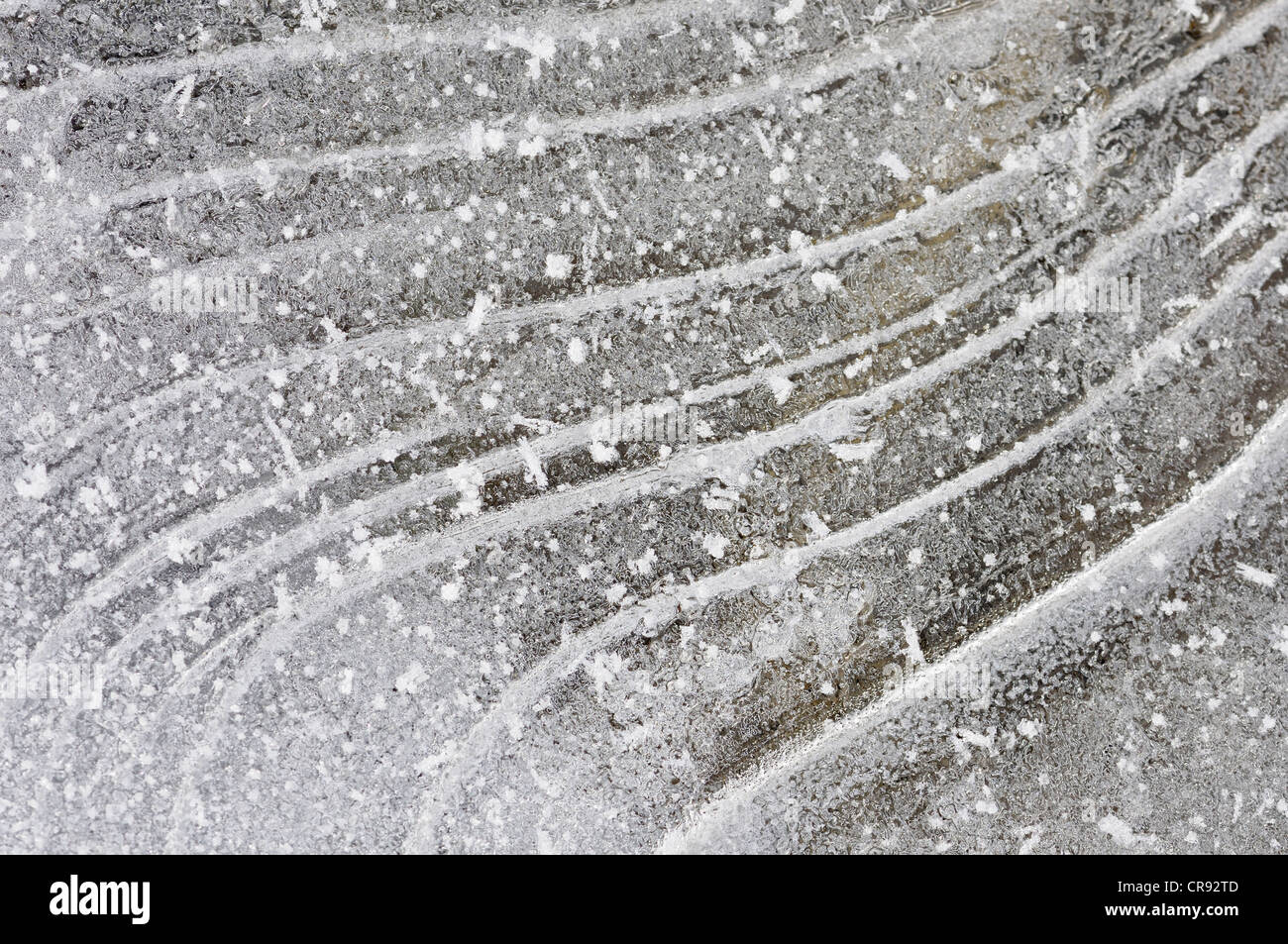 Structures on a frozen ice surface, Middle Elbe Biosphere Reserve, Saxony-Anhalt, Germany, Europe Stock Photo