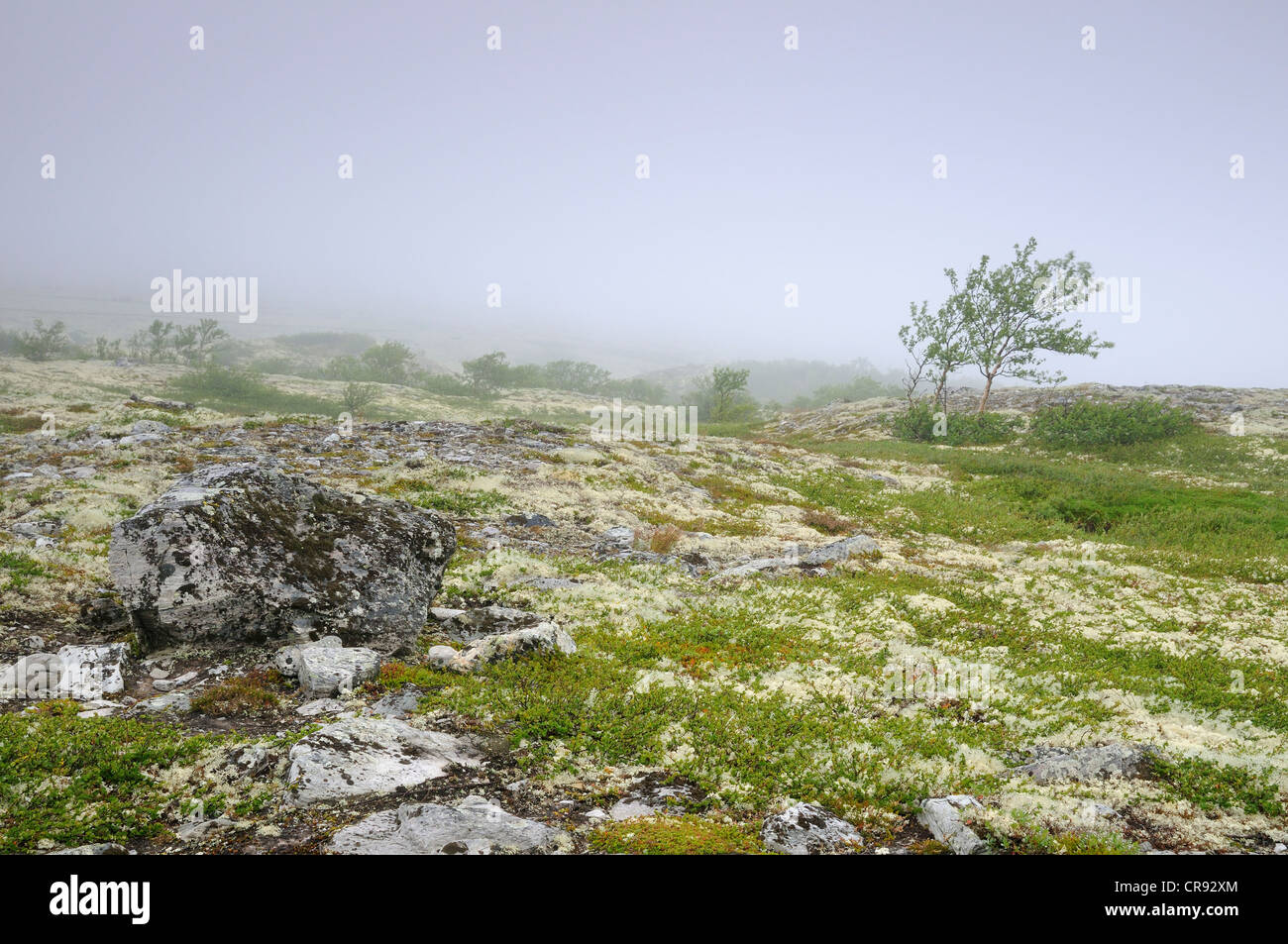 Fell landscape hi-res stock photography and images - Alamy