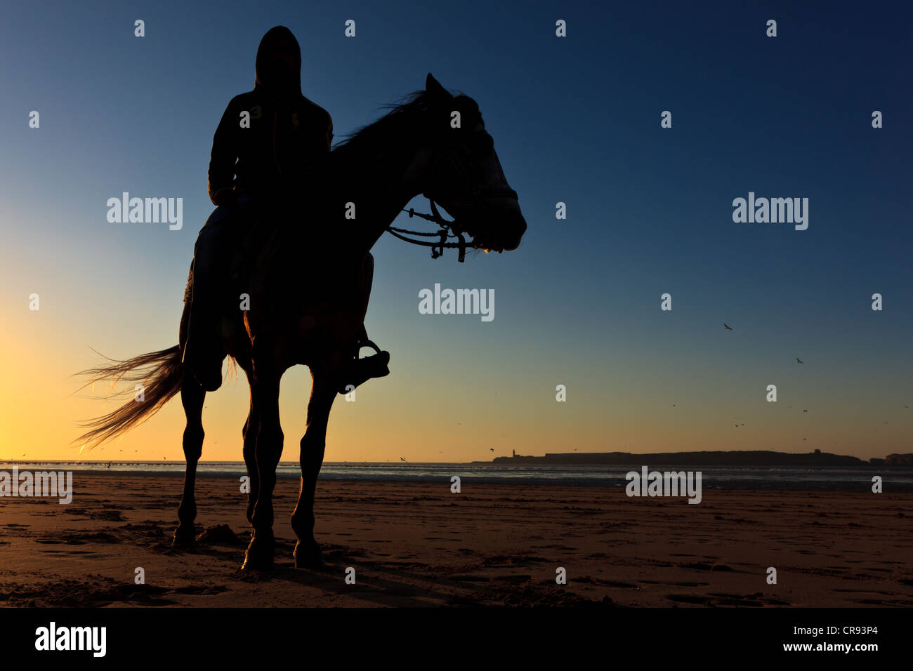 Silhouette of horse and rider on the beach at sunset, Essaouira ...