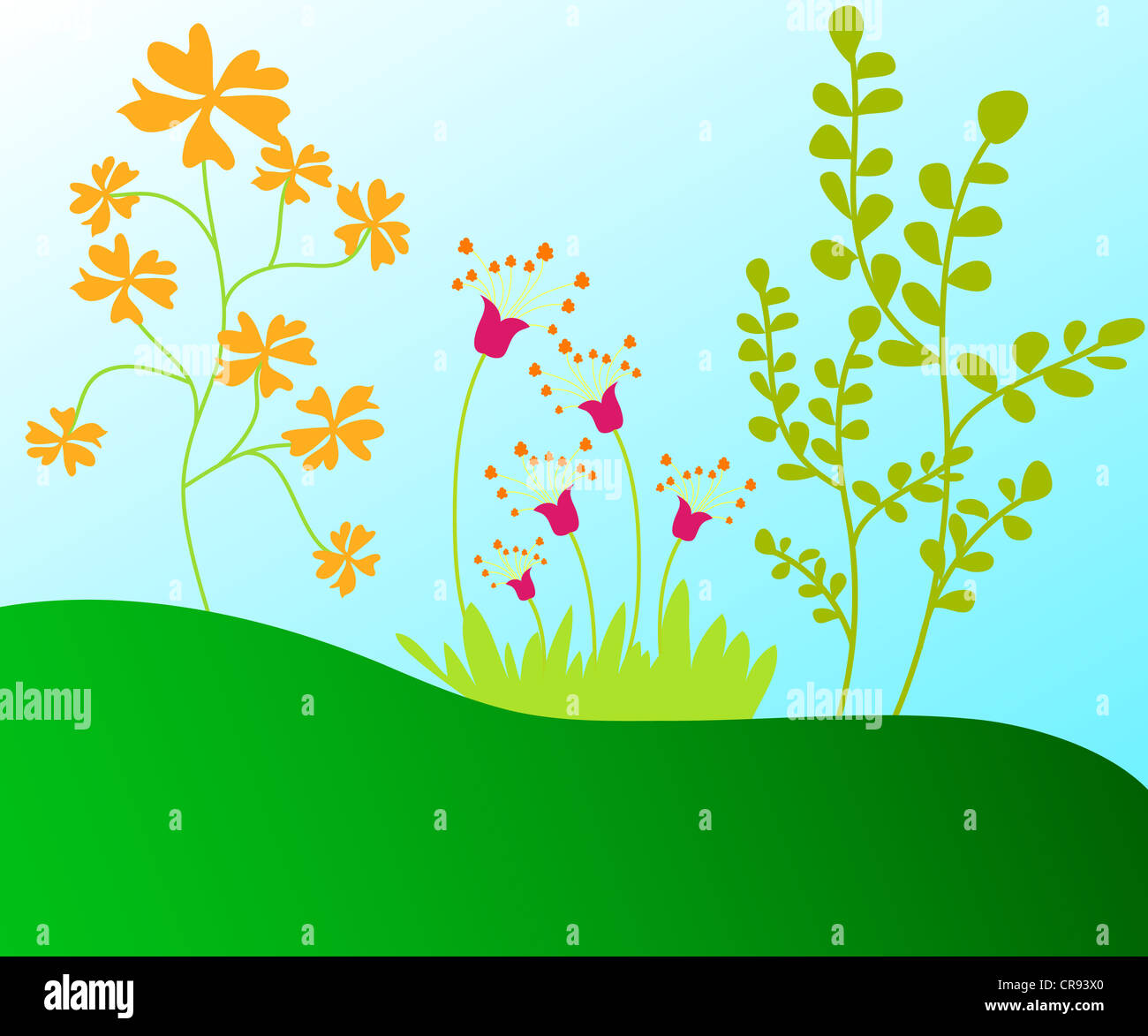 Colorful flowering plants illustration Stock Photo - Alamy