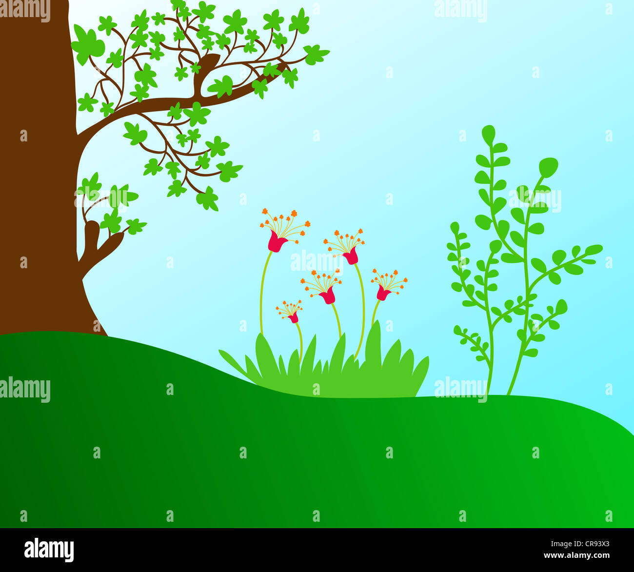 Trees and flowering plants illustration Stock Photo