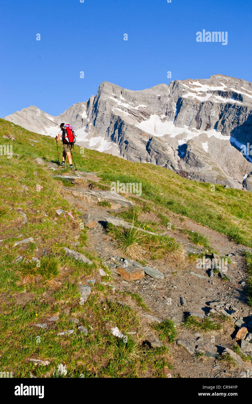 Climber ascending Hochfeiler or Gran Pilastro mountain via Val di Vizze or  Pfitschertal valley, South Tyrol, Italy, Europe Stock Photo - Alamy, image size:866x1390