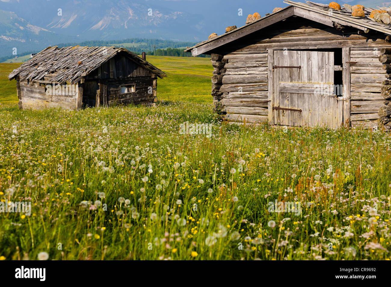 Wooden alpine huts in summer, Seiser Alm mountain pasture, South Tyrol ...