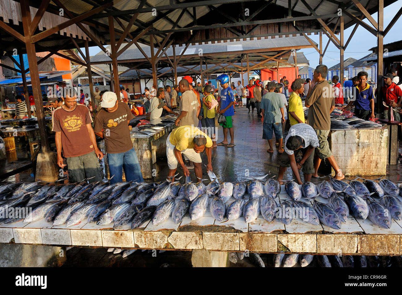 Fish sales at the fish market, Kota Biak, Biak Island, Irian Jaya