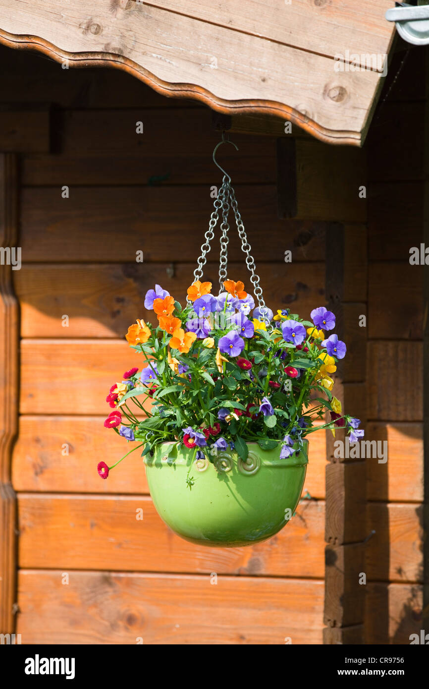 Flowerpot hanging from garden shed, Upper Bavaria, Germany, Europe Stock Photo