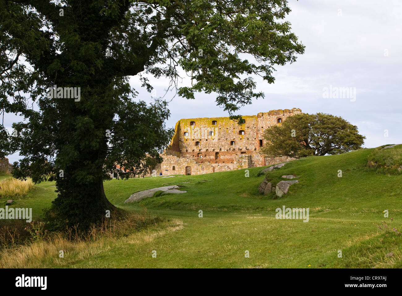 Hammershus castle ruins, Bornholm, Denmark, Europe Stock Photo Alamy
