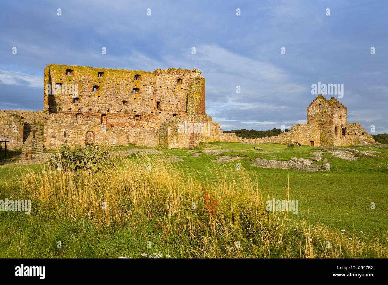 Hammershus castle ruins, Bornholm, Denmark, Europe Stock Photo Alamy
