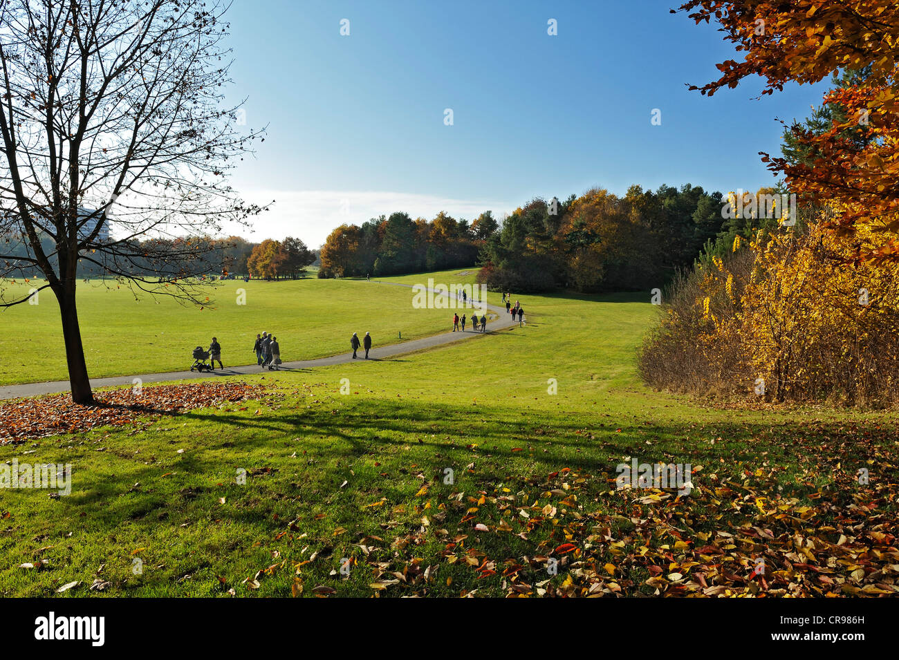 Ramblers in the autumnal Ostpark, Munich, Bavaria, Germany, Europe Stock Photo
