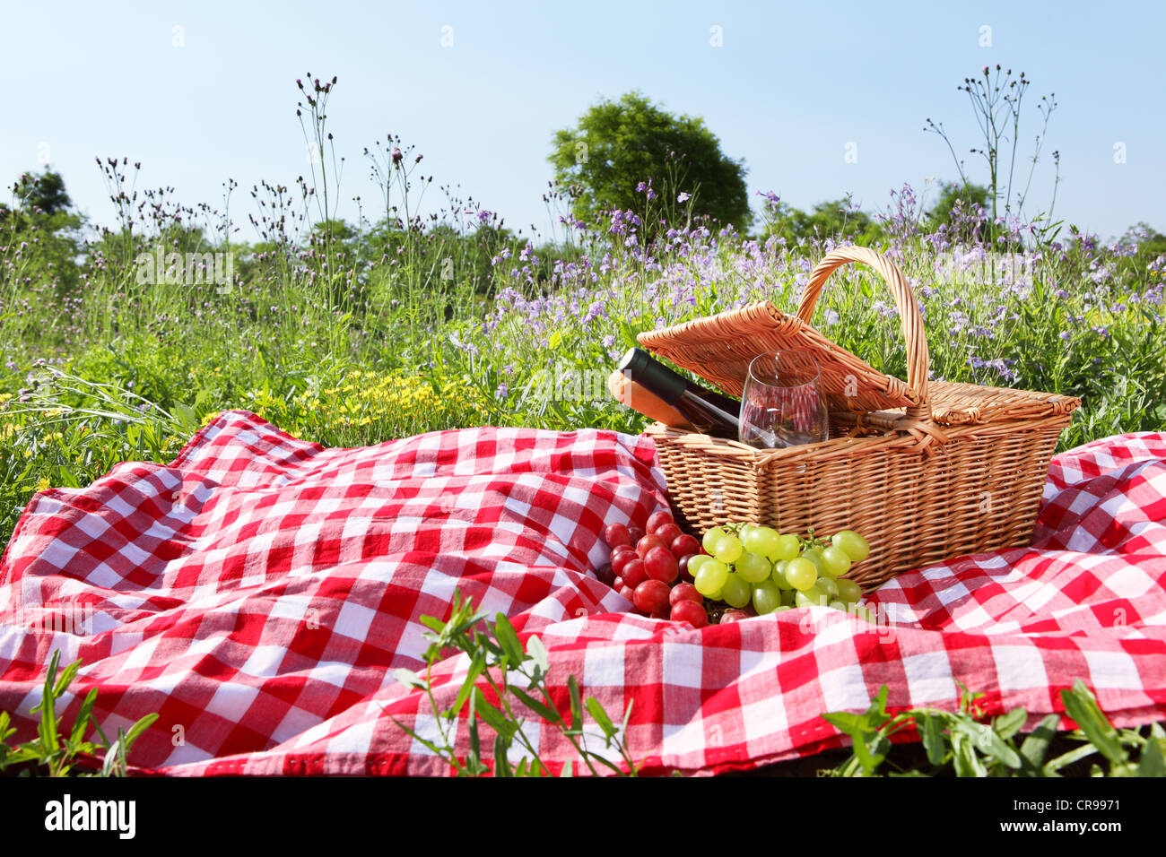 Outdoor picnic setting with wine Stock Photo