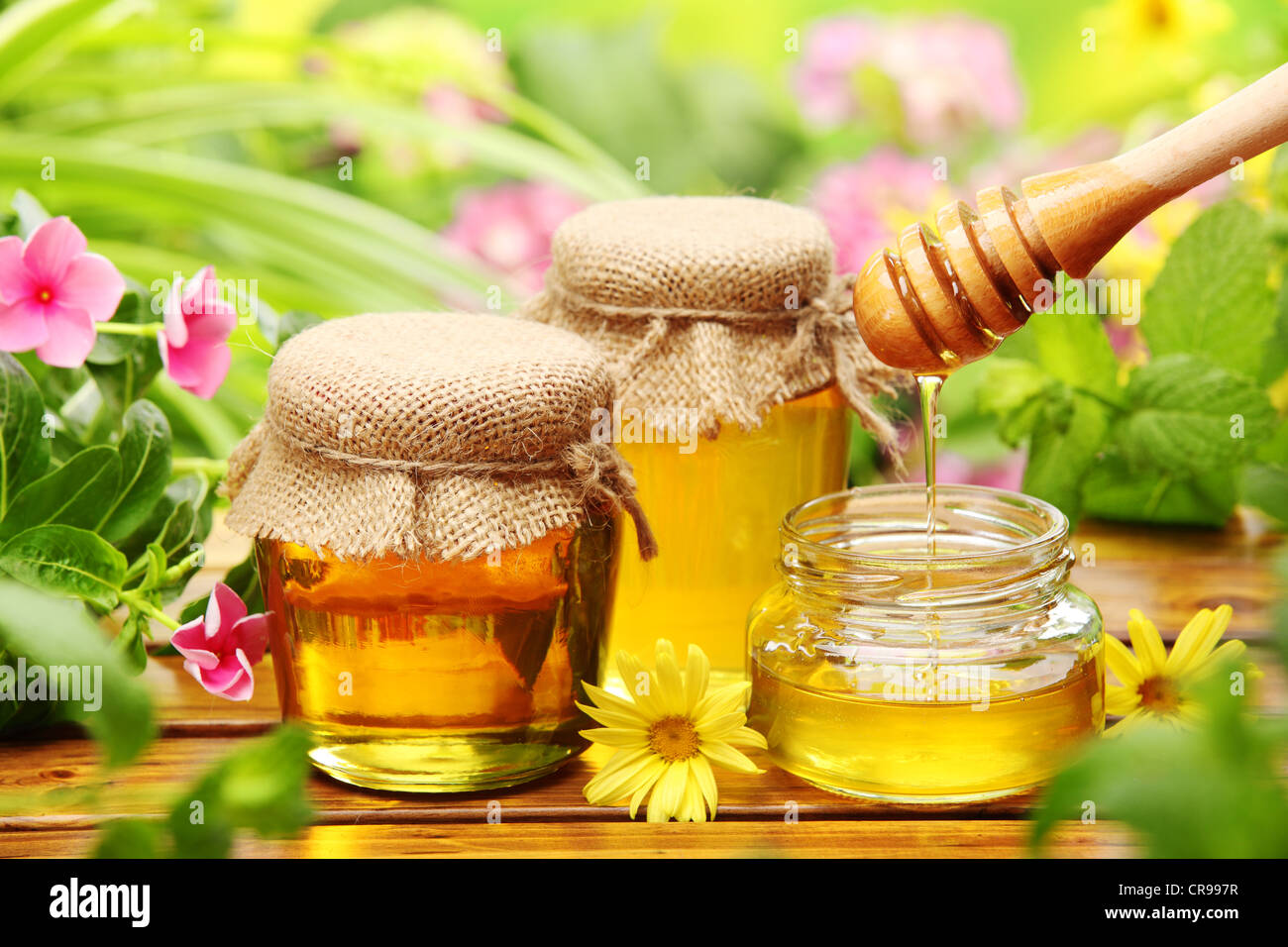 Honey in glass jars with flowers background. Stock Photo