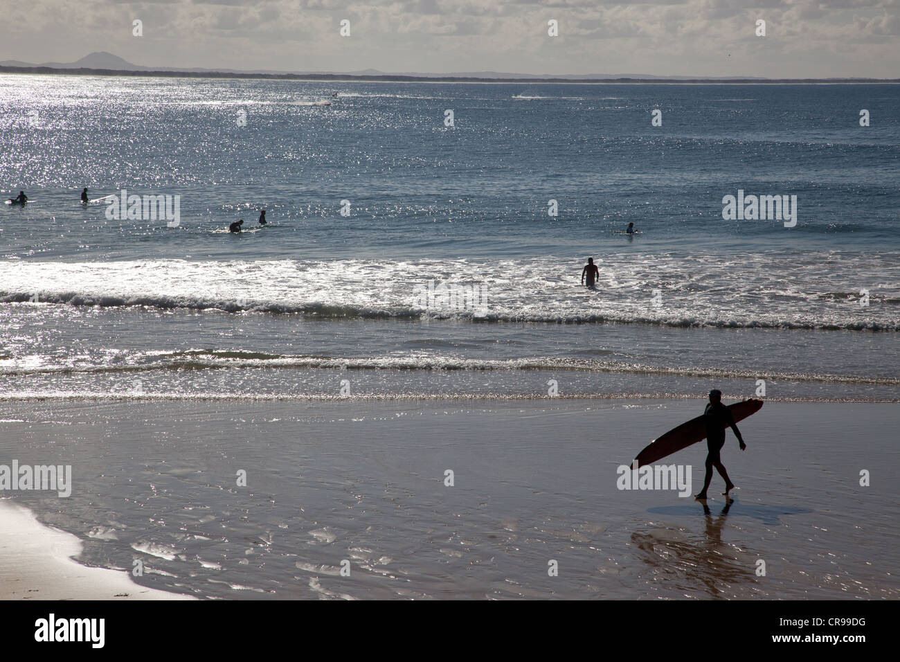 Silhouette of surfers with surfboards at beach, Sunshine Coast, Brisbane, Queensland, Australia