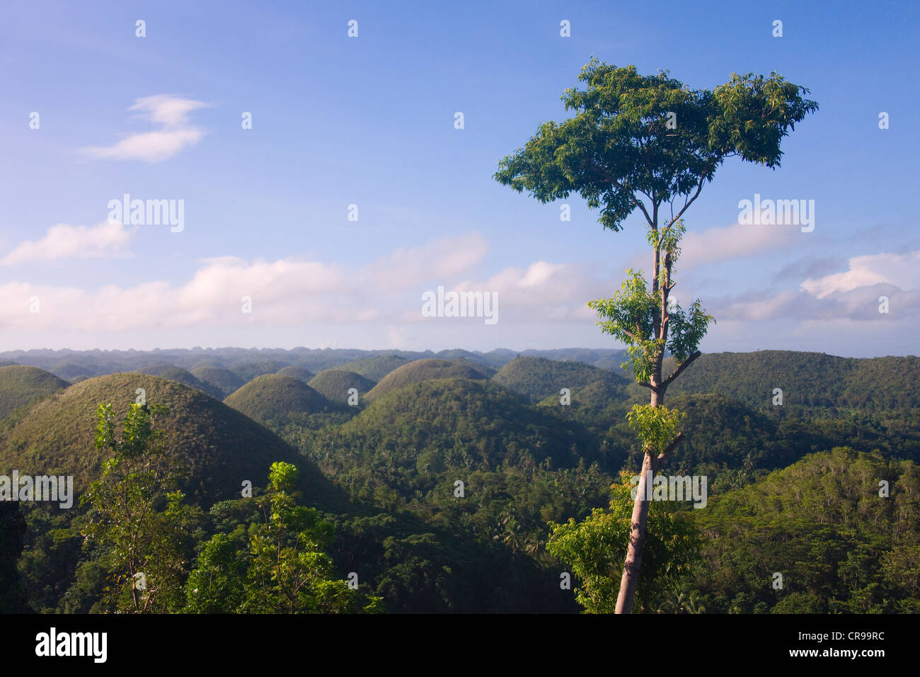 Chocolate Hills of Bohol Island, Philippines Stock Photo Alamy