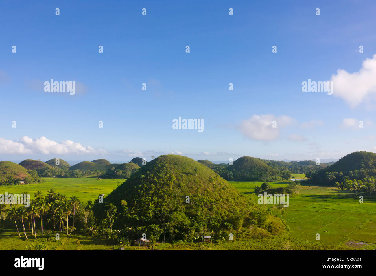 Chocolate Hills, Bohol Island, Philippines Stock Photo Alamy