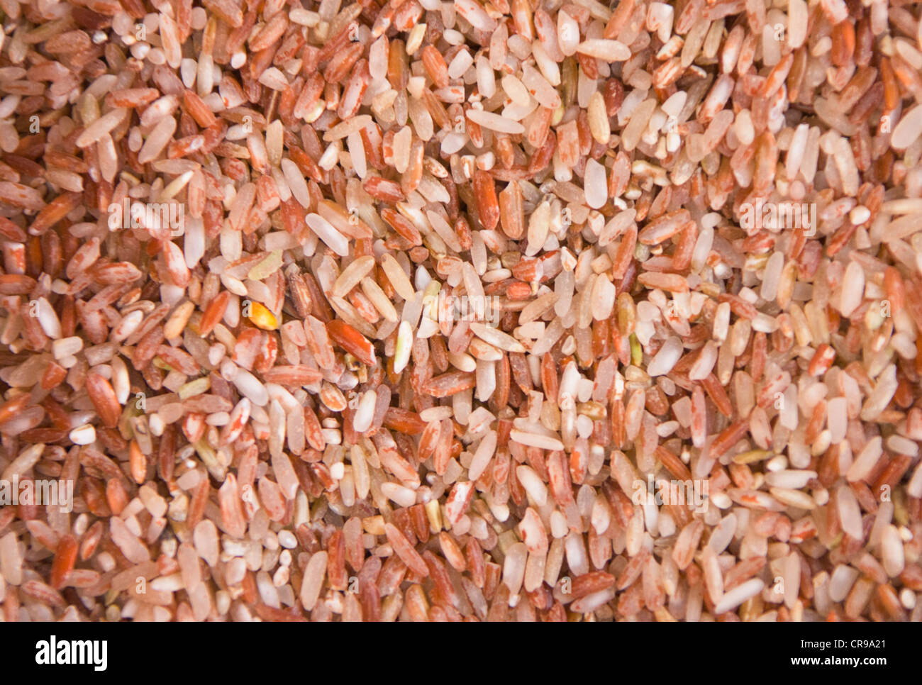 Red rice, Philippines Stock Photo Alamy