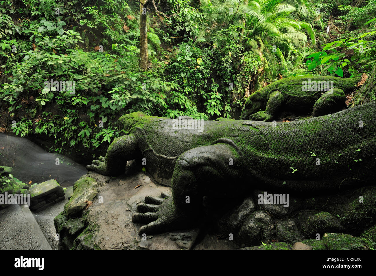 Ubud Monkey forest, Ubud, Bali, Indonesia, Asia Stock Photo
