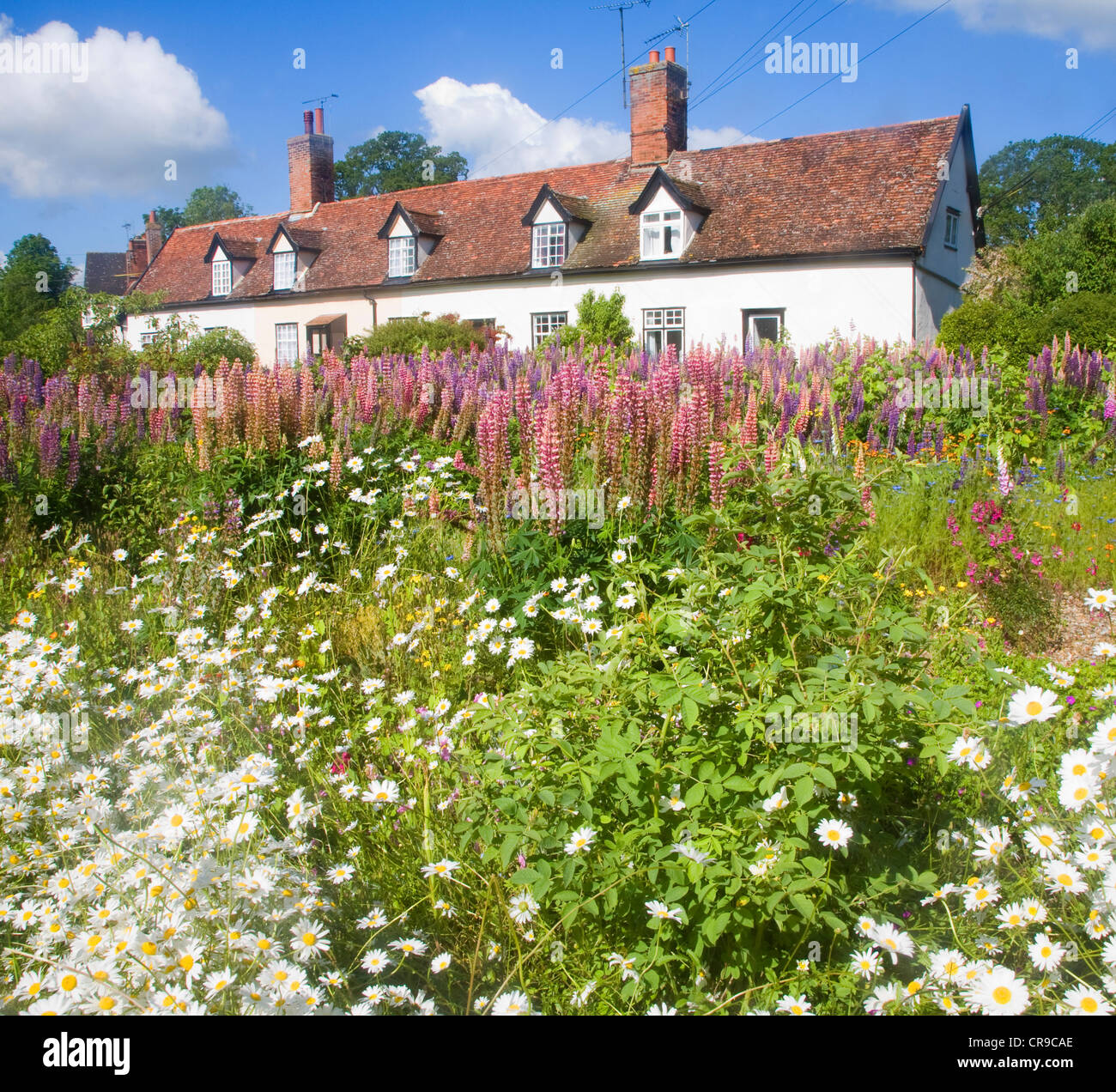 Pretty Flowers Attractive Country Cottages Great Finborough