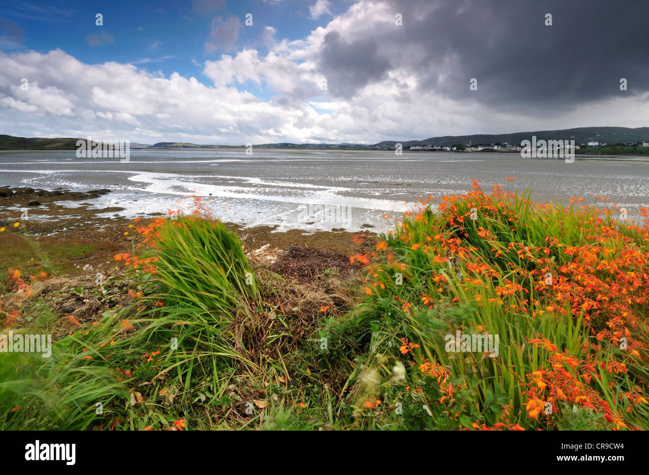 Dunfanaghy, Donegal, Ireland, Europe Stock Photo Alamy