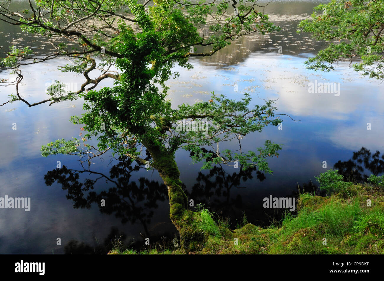 Lough Veagh, Glenveagh National Park, Donegal, Ireland, Europe Roberto Nistri horizontal landscapes landscap Stock Photo