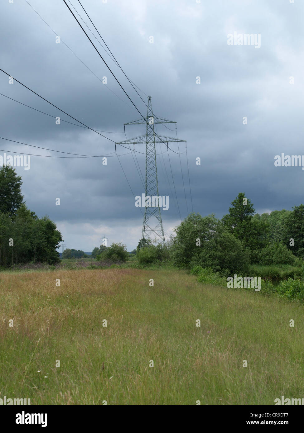 landscape with meadow, trees and electrical towers / Landschaft mit Wiese, Bäumen und Strommasten Stock Photo
