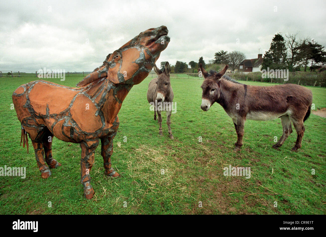 An iron sheet metal sculpture of a donkey by sculptor Len Chatworthy in