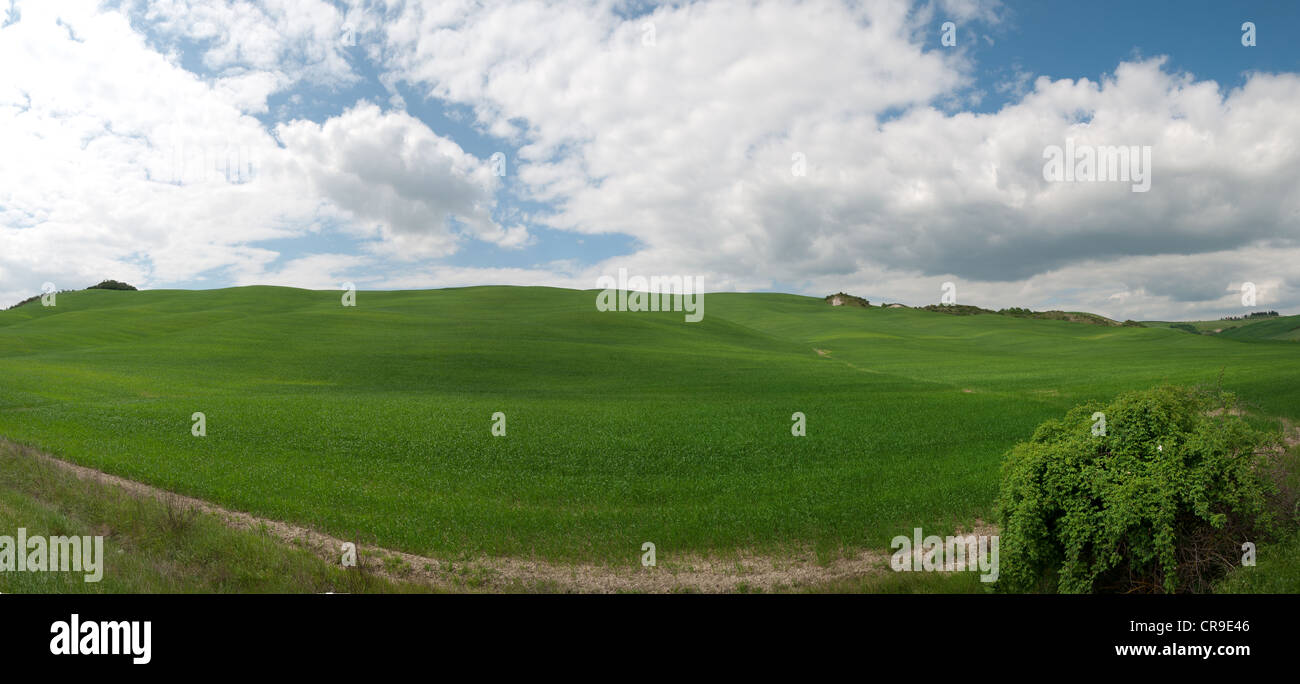 panoramic farmland in Cornwall Stock Photo Alamy