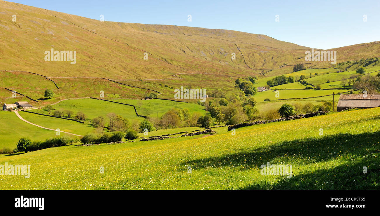 Deepdale Head, a world away from city-life, Dentdale, Cumbria, England Stock Photo