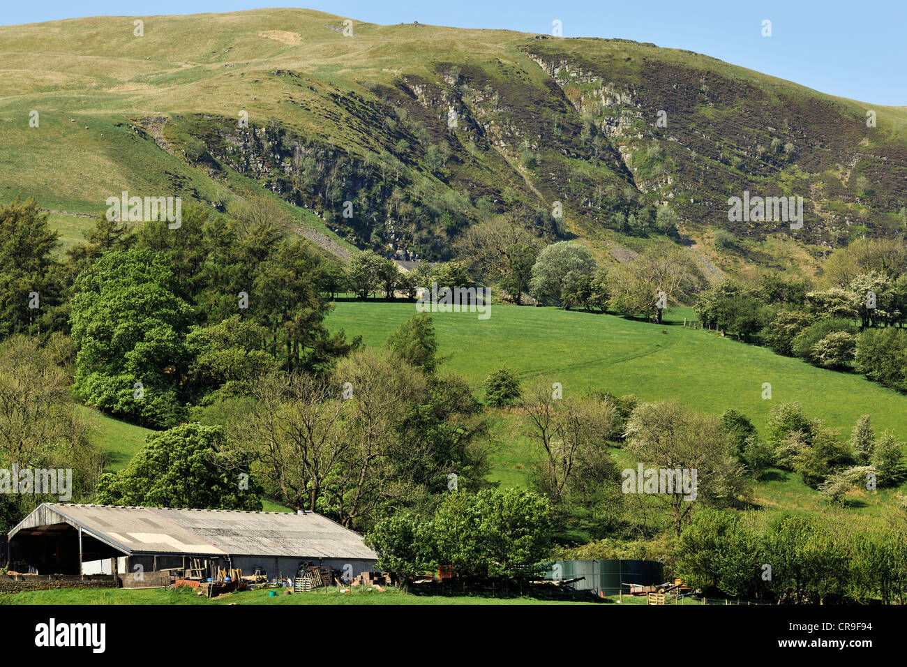A Hill farm below Combe Scar, Dentdale, Cumbria, England Stock Photo