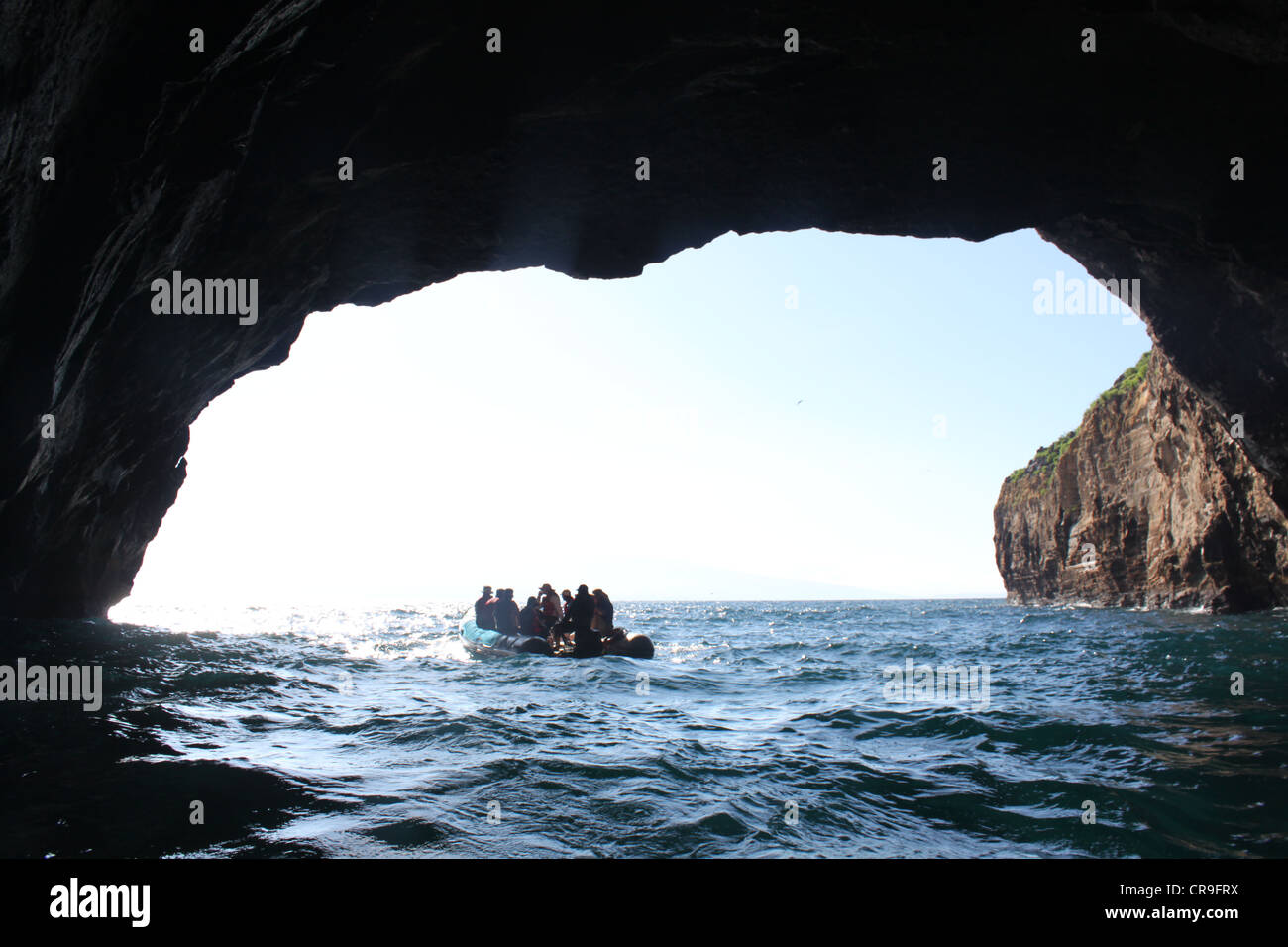 Small boat leaving cave on Fernandina island Galapagos Stock Photo Alamy