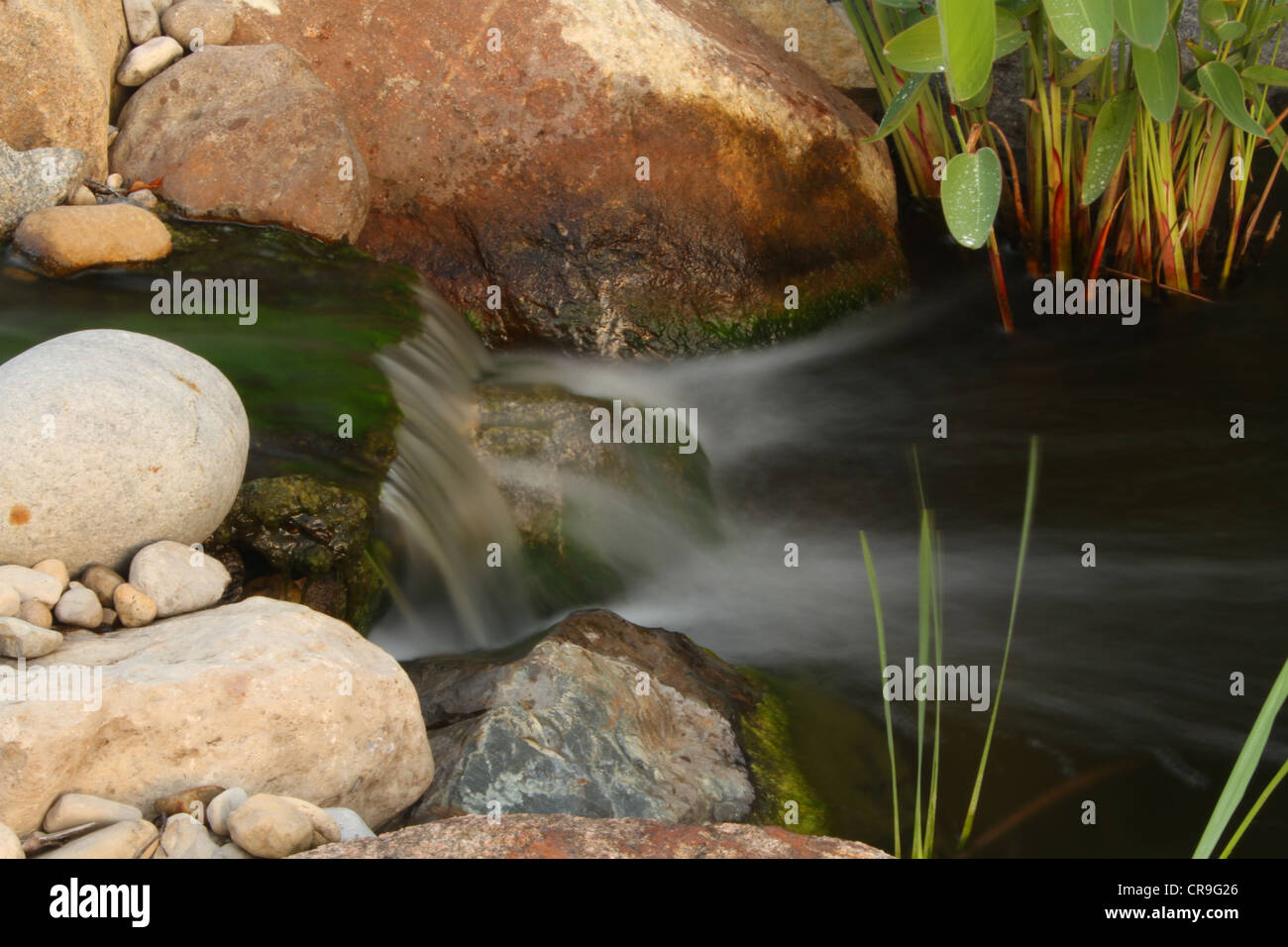 Back yard waterfall hi-res stock photography and images - Alamy