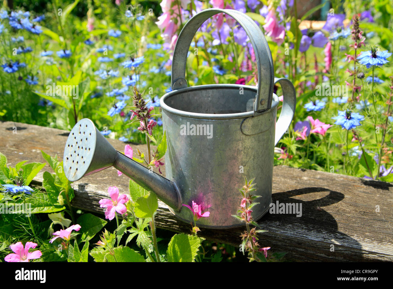 Small metal watering can in garden Stock Photo Alamy