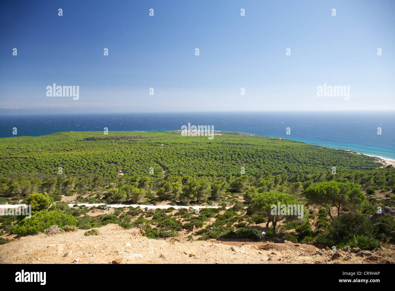 coast next to Bolonia beach at Cadiz Andalusia in Spain Stock Photo