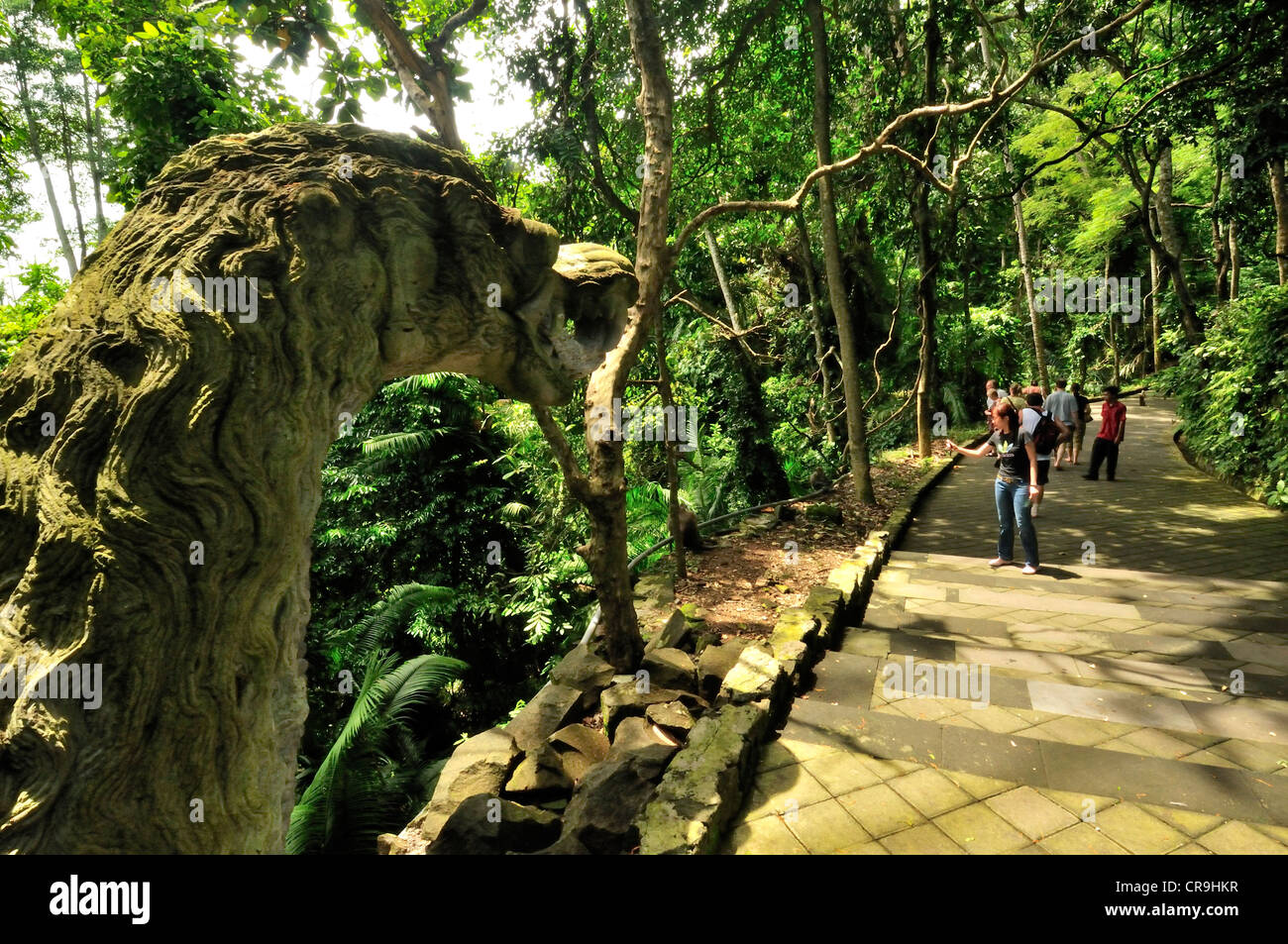 Ubud Monkey forest, Ubud, Bali, Indonesia, Asia Stock Photo