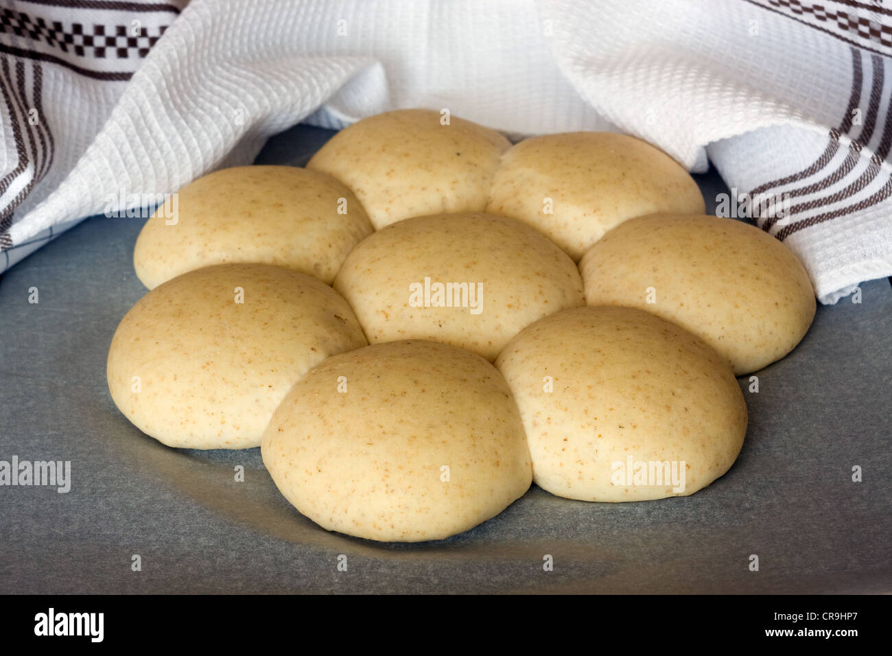 Home made buns from wholemeal flour - before baking Stock Photo