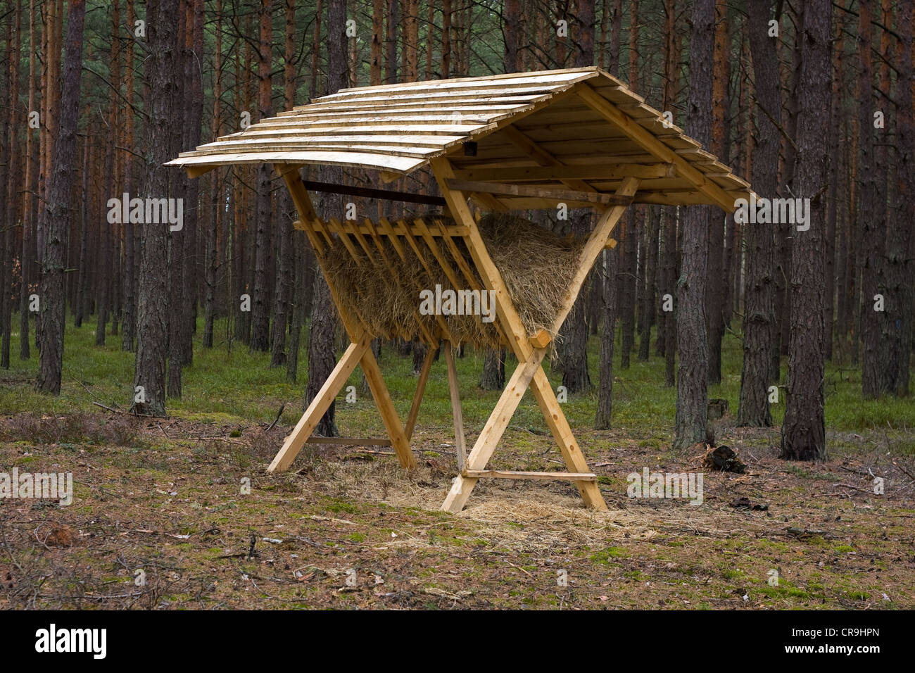 Animals Feeder In Forest Stock Photo 48769357 Alamy